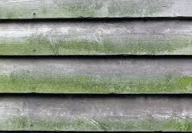 How To Remove Mold From Wood Mold Remover Wood Outdoor Wood Furniture