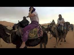 The camel caravans which crossed the great dunes of the sahara desert began in antiquity but reached their golden period from the 9th century ce the value of the camel is not only confined to its high adaptation to severe desert conditions and its regulation of heat and water via its sweat glands. Camel Caravan In The Sahara Youtube
