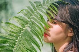 Free Images : beautiful, girl, green, leaf, eye, ferns and horsetails,  black hair, close up, vascular plant, fern, tree, grass family 4256x2832