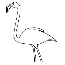 As requested, here's a drawing tutorial of a flamingo, and you can follow the step by step easy instruction to draw your. How To Draw A Flamingo Easy Tutorial For Beginners Bujo Babe