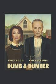 Dumb Dumber Nancy Pelosi Chuck Schumer Joe Biden Joe Biden 2020 Aminov Marvin 9798563372177 Amazon Com Books