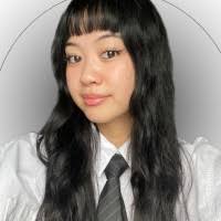 900+ "Wing" profiles