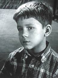 Mayor William R. Wild is ready for Election Season! The Mayor Wild writes,  "To all of my Westland friends the time has come to reapply for my job as  Mayor of the