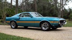 Image result for Blue 1969 Fleet
