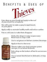 What is thieves essential oil used for. Thieves Oil Benefits Uses Via Seekprogressnotperfection Com Thieves Oil Serenity Essential Oil Essential Oil Benefits