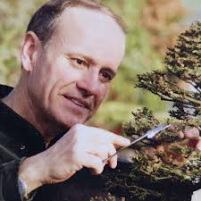 In the world of bonsai, time can be the artist's greatest collaborator. Few  stories illustrate this better than that of Guy Guidry's bald cypress, one  of the original 50 trees that launched