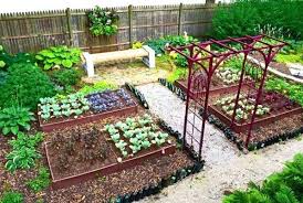 Garden Design For Organic Vegetable Gardens Elegant Urban Ve Able Garden Urban Ve Able G Garden Layout Vegetable Backyard Vegetable Gardens Shade Garden Design