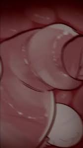 Hakashe (inukon Geek) 1boy Animated - Lewd.ninja