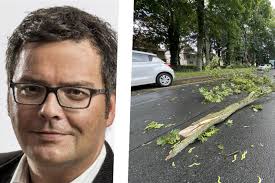 Baumkontrollen in Kamen: „Dass Äste bei Sturm fallen, kann man nie ganz  ausschließen“