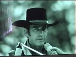 James Drury (The Virginian)