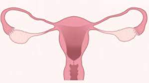 The data visualizations tool makes it easy for anyone to explore and use the latest official federal government cancer data. Ovarian Cancer Treatment Latest News Information Updated On June 13 2021 Articles Updates On Ovarian Cancer Treatment Photos Videos Latestly