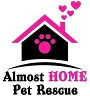 There is only one way. Pets For Adoption At Almost Home Pet Rescue In Katy Tx Petfinder