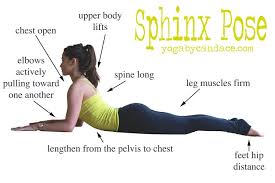How To Do Sphinx Pose Yogabycandace Yoga For Beginners Yoga Asanas Yoga Tutorial
