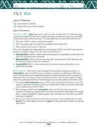 Download download chapter 14 3 the human genome project answer key book pdf free download link or. 13 1 Rna Hackittbio