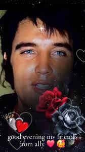 Good night my friends 🥰 from myself and candy have a lovely evening with  our gorgeous Elvis ❤️ 🥰 thank you for all your lovely comments today see  you all tomorrow ❤️ good night candy have a lovely ...