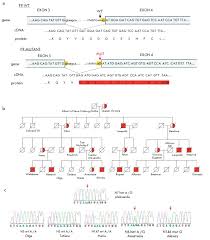 Hemophilia In The Royal Families Of Europe A The Point