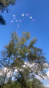 Profil za Annette Summers