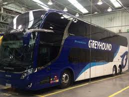 Neobus Dd Greyhound Busse