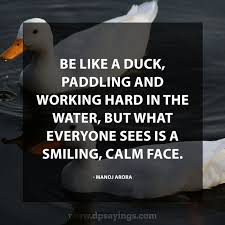 Make like a duck and let things roll off your back. Duck Workout Quotes 77 Inspirational Hard Work Quotes And Sayings With Images Dp Sayings Dogtrainingobedienceschool Com