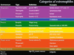 Food Preservation And The Accidental History Of Extremophile