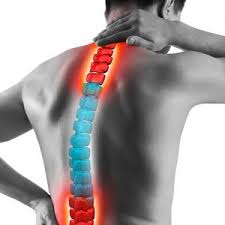Check spelling or type a new query. Back Neck Pain Pinnacle Rehabillitation Associates