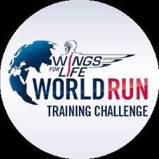 Angel halo wings free download format: Wings For Life World Run Training Challenge Strava Challenges