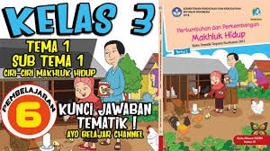 Kunci jawaban lks cemara kelas 5 tema 1. Tematik Kelas 3 Tema 1 Sub Tema 2 Pembelajaran 1 Kunci Jawaban Youtube