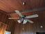 Gold Ceiling Fan With Light