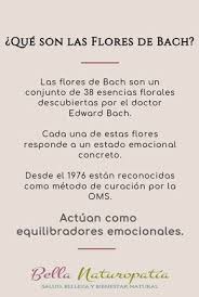 Las flores de bach ejercen un efecto equilibrante sobre cualquier descompensación, y transmiten todo su poder curativo, devolviendo al usuario la las 38 flores de bach y sus aplicaciones. Pin By Myriam Spinola On Flores Bach Flower Remedies Flower Remedy Reiki
