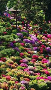 Safe Global Travel Tips I Top Luxury Vacation Ideas Beautiful Gardens Japanese Garden Azalea Bush