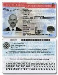 Employment Authorization Document Wikipedia