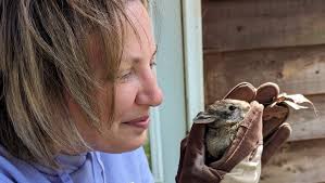 Fundraiser for Sandra Spivey by Elizabeth Turvaville : Aid the Spivey  Family in Their Time of Grief