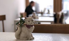 The place itself is separated into the cafe on one side and the cat room on the other. Buckminster S Cat Cafe