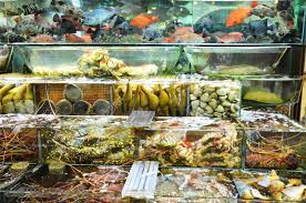 Famous seafood restaurants in ubin. Variety Of Fresh Live Seafood Being Chosen In A Restaurant In Stock Photo Picture And Royalty Free Image Image 81034916