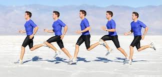 What Is The Average Stride Length In Competitive Running