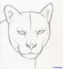 How To Draw A Realistic Puma Mountain Lion Step 4 Easy Animal Drawings Art Drawings Sketches Simple Animal Drawings Sketches