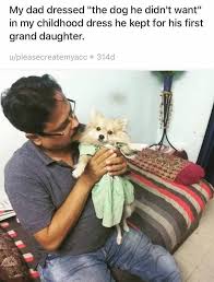 Reviews from happy pet lovers. Dads Who Fell In Love With The Dogs They Never Wanted