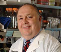 National Foundation for Cancer Research 2013 Progress Report