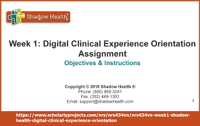 Nrs 434vn Week 1 Shadow Health Assignment Digital Clinical