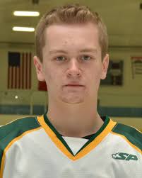 Hockey All-Stars 2015: First team honorees, Coach of the Year, honorable  mentions (poll)