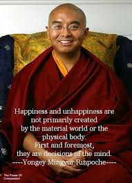 Yongey Mingyur Rinpoche Takes Daily Practice And Is A Good Habit To Form Buddhism Quote Buddhist Quotes Buddhism