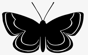 Try to search more transparent images related to butterfly silhouette png |. Butterfly Silhouette Png Images Transparent Butterfly Silhouette Image Download Pngitem