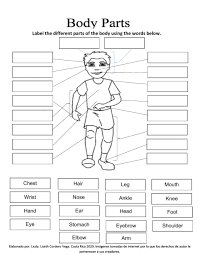 Help your preschooler learn the parts of the body with a body parts worksheet. Body Parts Online Pdf Worksheet