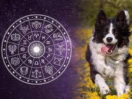 According to astrology, cancer is the weakest zodiac sign when. Best Dog Breeds For All 12 Horoscope Signs Familyminded