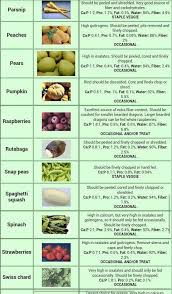 List Of Foods You Can Feed Bearded Dragons Bearded Dragon Diet Bearded Dragon Food Bearded Dragon Food List