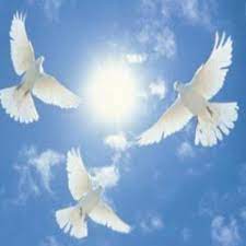 De betekenis van pasen vind je op deze pagina. Teksten Over De Betekenis Van Pasen En De Oorsprong Van Het Paasfeest Spirituele Vrienden