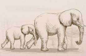 Check spelling or type a new query. 10 Realistic Elephant Drawings Step By Step Do It Before Me