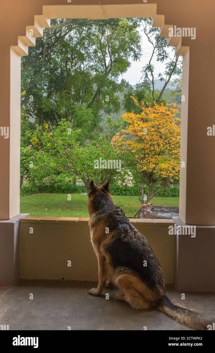 Shepherd and robertson hi-res stock photography and images - Alamy