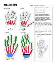 Carpals metacarpals phalanges radius and ulna a re circled and labeled. Aging Hand Coloring The Aging Hand Newborn Name 1 Year 1 2 3 4 5 Color The Carpals Of All Hands Blue Color The Metacarpals Red Color The Phalanges Course Hero