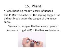 We did not find results for: Level D Unit 4 Vocabulary Words Ppt Video Online Download